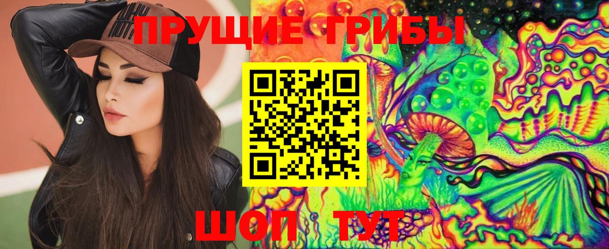 Псилоцибиновые грибы Psilocybe Бугуруслан