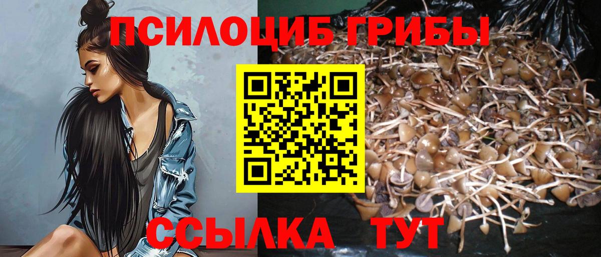 Бугуруслан  Галлюциногенные грибы Psilocybine cubensis  Вход с VPN  Псилоцибиновые грибы Cubensis 